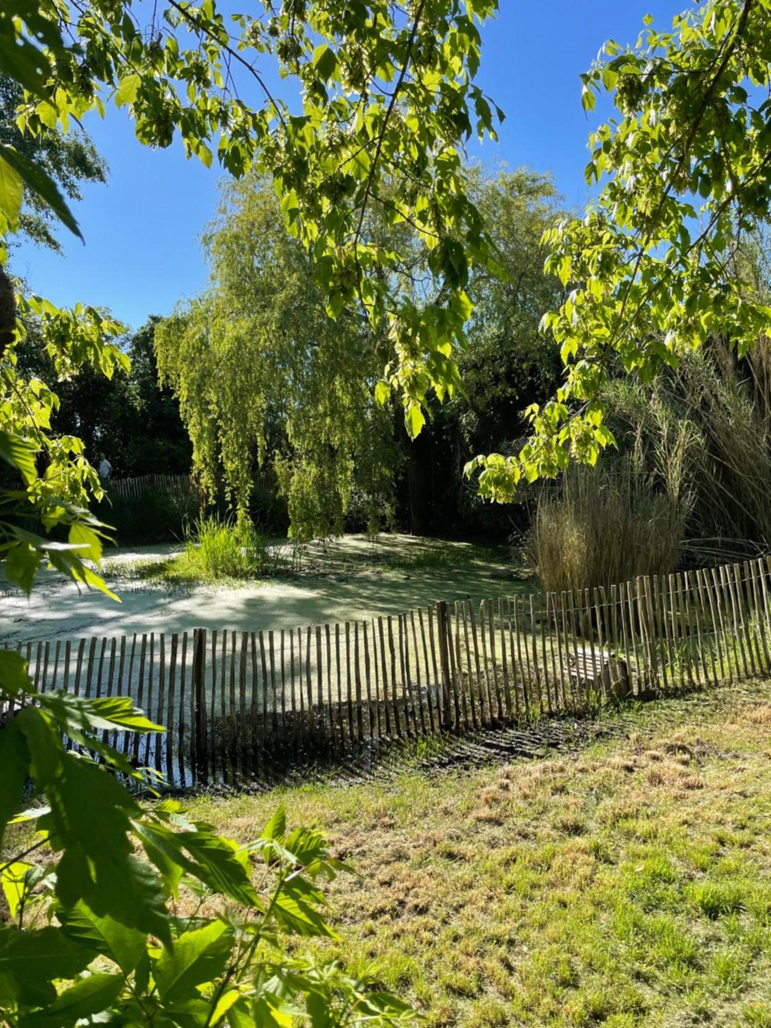 Bed and Breakfast Instant Zen Saint-Vivien-de-Medoc Экстерьер фото